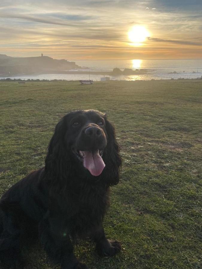 Pentire Coastal Holiday Park Bude Bagian luar foto