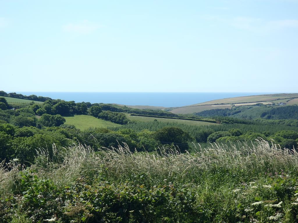 Pentire Coastal Holiday Park Bude Bagian luar foto